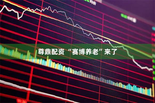 尊鼎配资 “赛博养老”来了