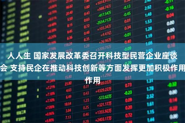 人人生 国家发展改革委召开科技型民营企业座谈会 支持民企在推动科技创新等方面发挥更加积极作用