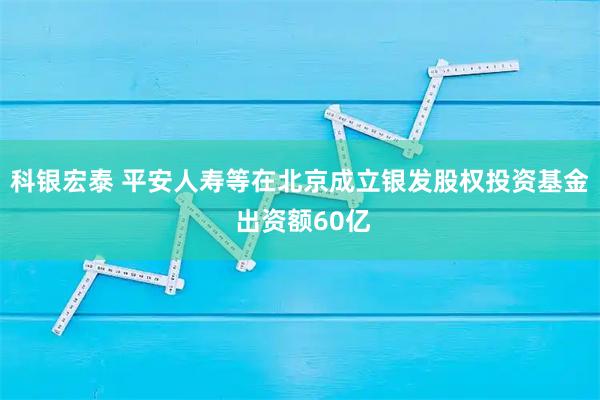 科银宏泰 平安人寿等在北京成立银发股权投资基金 出资额60亿