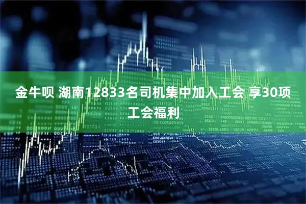 金牛呗 湖南12833名司机集中加入工会&#32;享30项工会福利