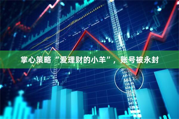 掌心策略 “爱理财的小羊”，账号被永封