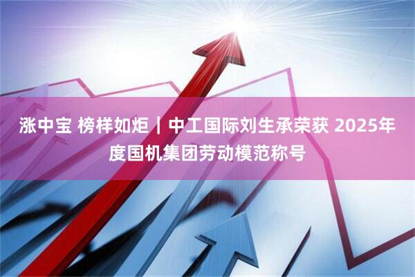 涨中宝 榜样如炬｜中工国际刘生承荣获 2025年度国机集团劳动模范称号