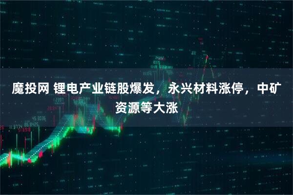 魔投网 锂电产业链股爆发，永兴材料涨停，中矿资源等大涨