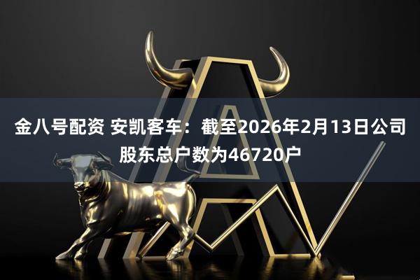 金八号配资 安凯客车：截至2026年2月13日公司股东总户数为46720户